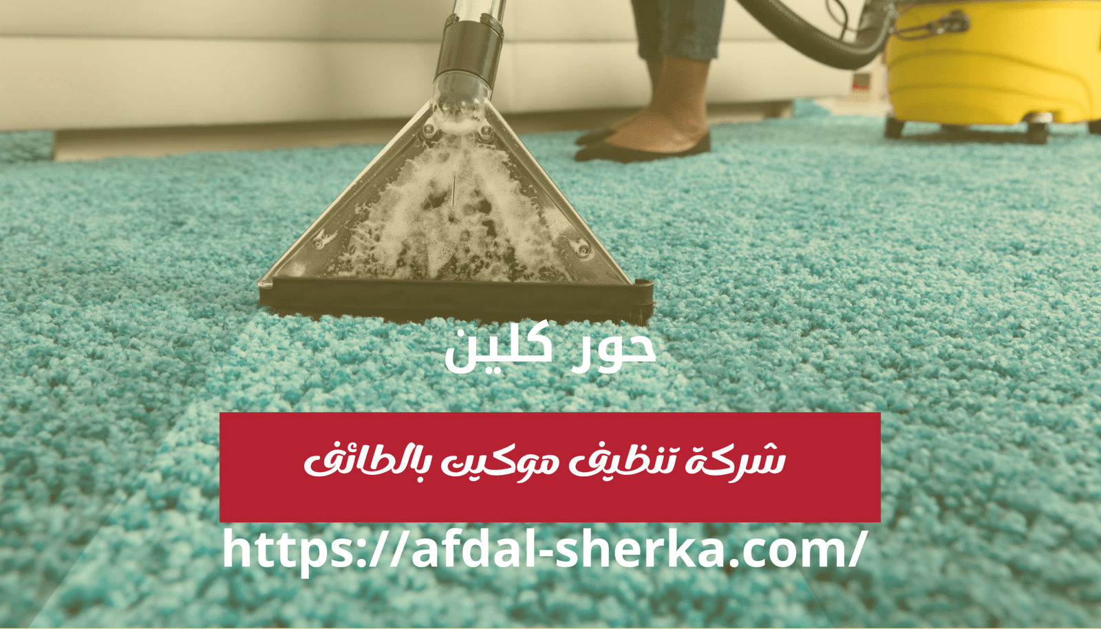 شركة تنظيف موكيت بالطائف