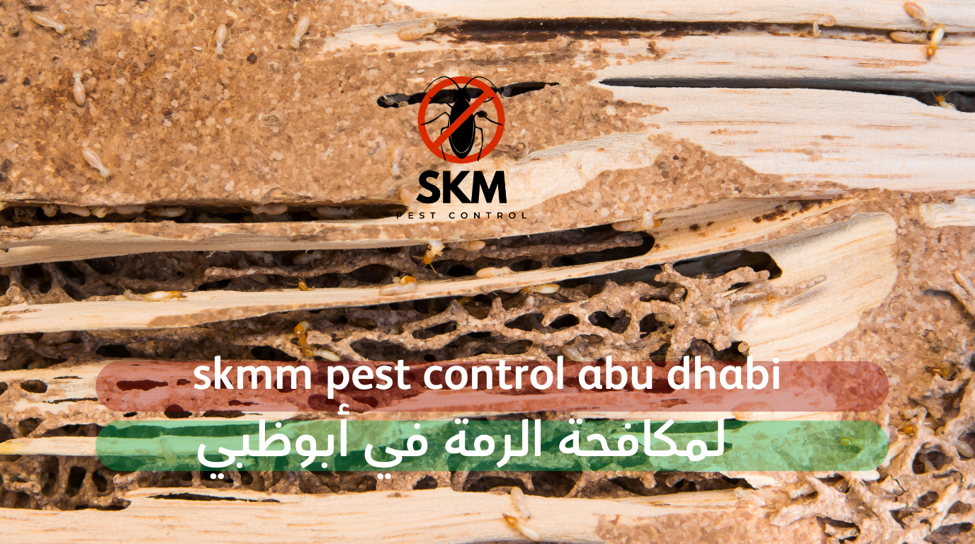 skmm pest control abu dhabi2 شركة مكافحة حشرات في أبوظبي