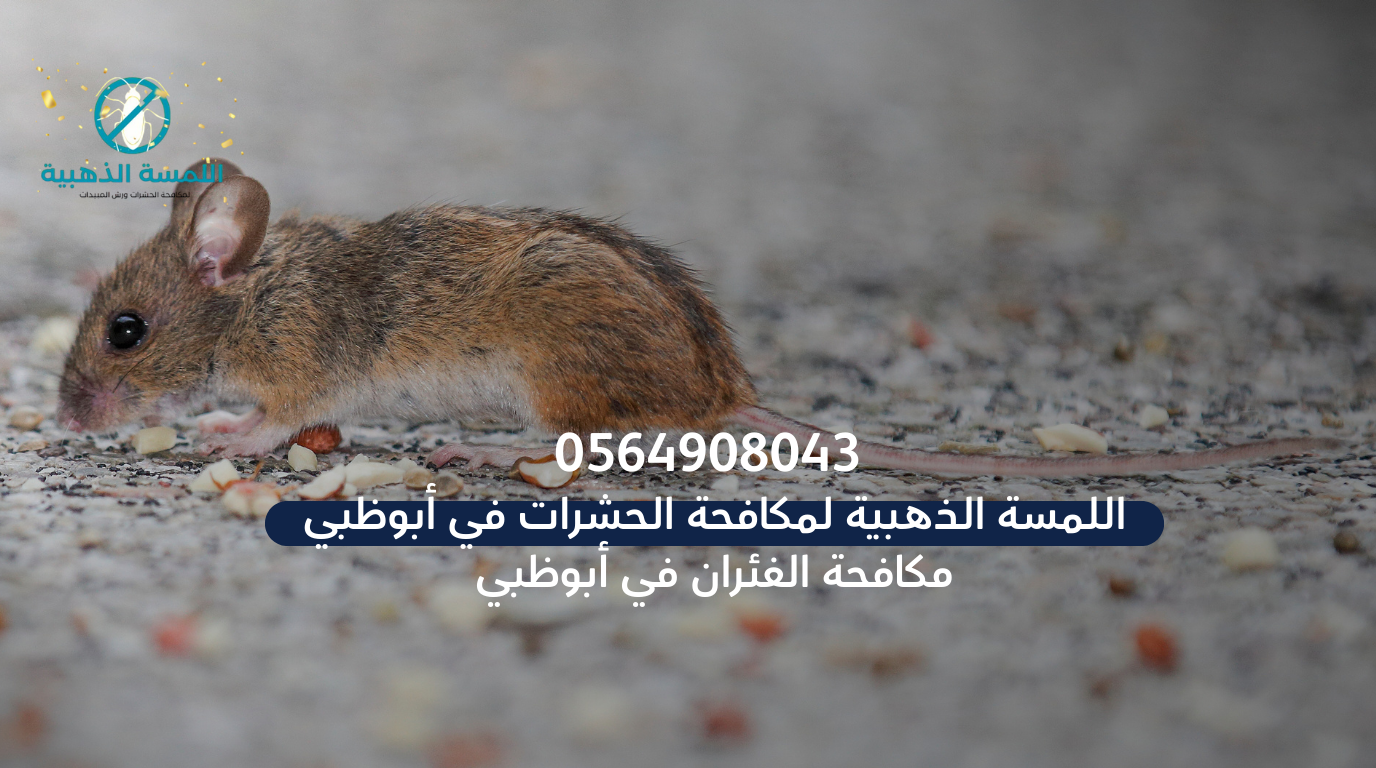 شركة مكافحة حشرات في أبوظبي