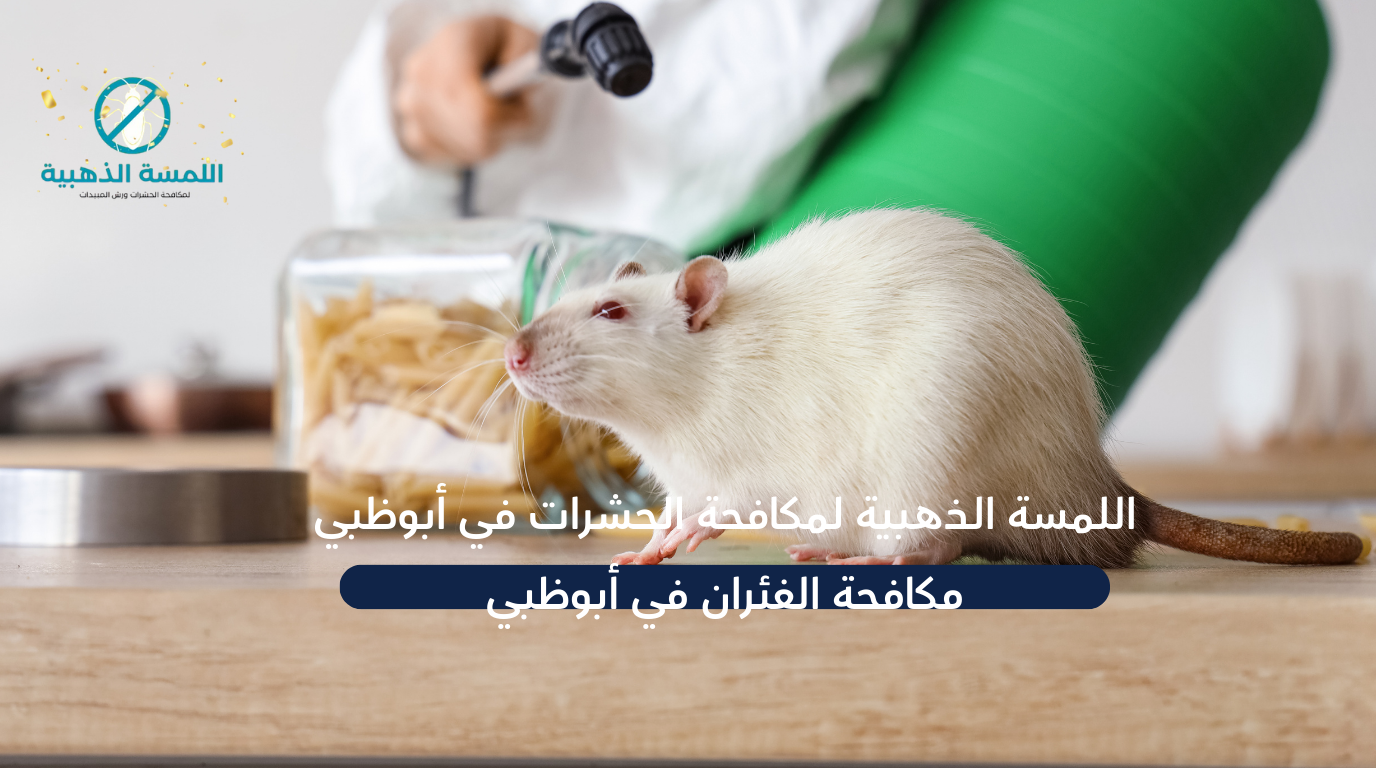 مكافحة الفئران في ابوظبي شركة مكافحة حشرات في أبوظبي